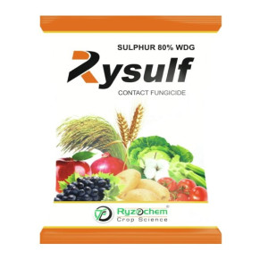 Ryzochem Crop Science