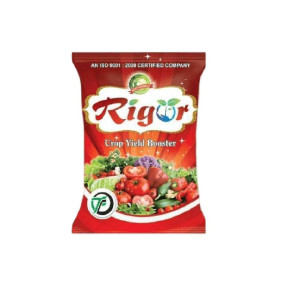 RIGOR