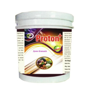 PROTON PLUS